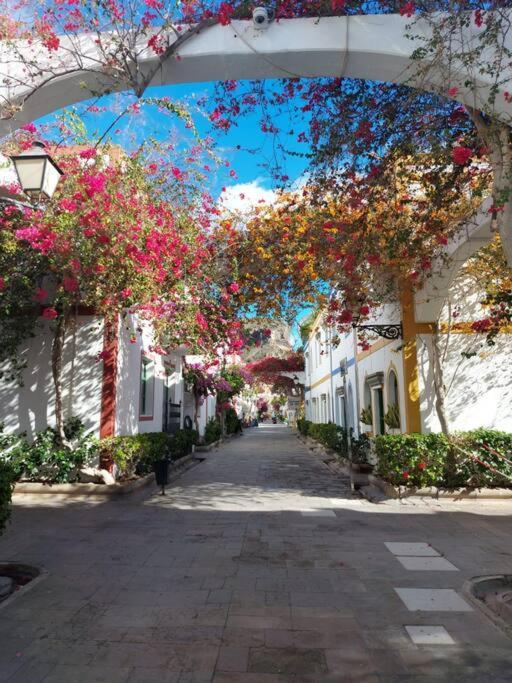 Vv Timon Apartment Puerto De Mogan Luaran gambar